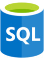 Team Lead Application Manager (DB)