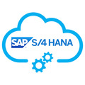 Senior SAP S/4HANA Consultant (JB)